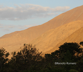 Lima Weather, Health & Safety - My Peru Guide